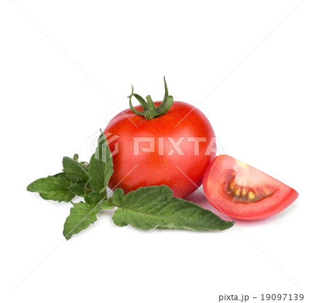 tomato with green leaf isolated  19097139