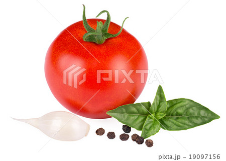 tomato and basil isolated on white background 19097156