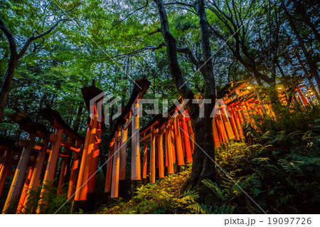 Fushimi Inari Taisha Shrine, Kyoto, Japan. Fushimi Inari Taisha Shrine, Kyoto, Japan. 19097726