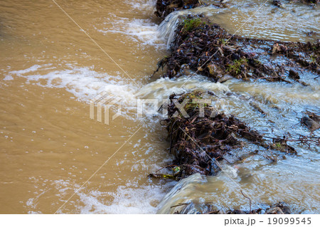 muddy mountain river 19099545