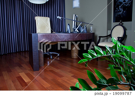 home office 19099787