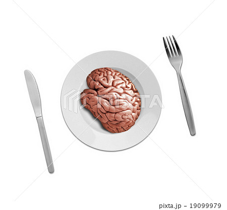 human brain on plate 19099979
