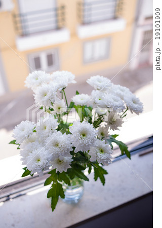 fresh chrysanthemum in vase on the window sill 19101909