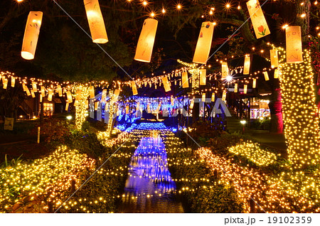 倉敷みらい公園のイルミネーション 倉敷みらい公園のイルミネーション 19102359