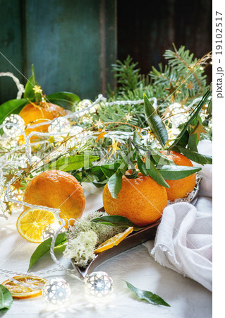 Tangerines (clementines) in Christmas decor Tangerines (clementines) in Christmas decor 19102517
