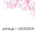 桜イラスト 19102916