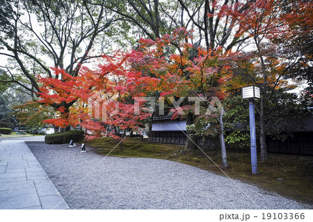 旧細川刑部邸の紅葉 19103366