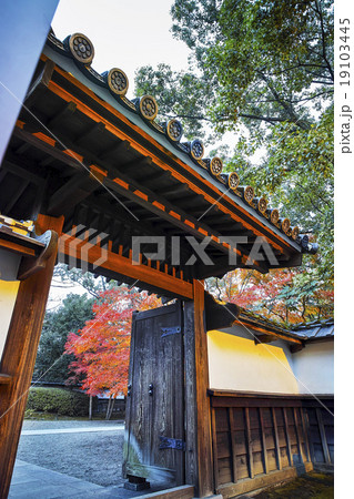 旧細川刑部邸の夕方の紅葉 19103445