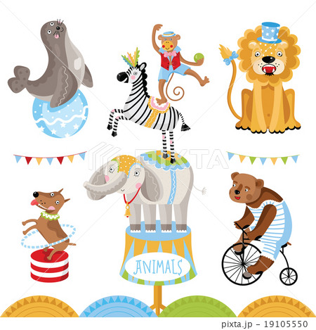 Circus animals perform tricks. 19105550