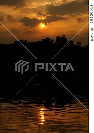 Evening Scene of Benjakitti Park(ベンジャキティ公園の夕景) Evening Scene of Benjakitti Park(ベンジャキティ公園の夕景) 19106018