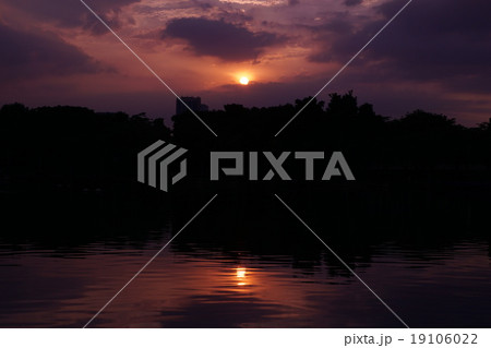 Evening Scene of Benjakitti Park(ベンジャキティ公園の夕景) Evening Scene of Benjakitti Park(ベンジャキティ公園の夕景) 19106022