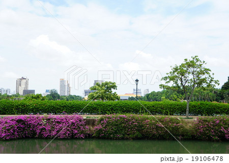 Benjakitti Park（バンコク、ベンジャキティ公園） 19106478