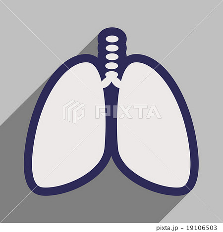 Icon of human lungs in flat style 19106503