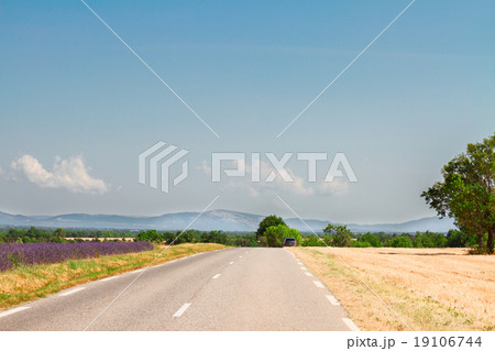 view of country road view of country road 19106744