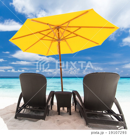 Tropical view Tropical view 19107293