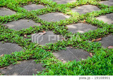 Beautiful garden,Walkway path in garden. 19108901