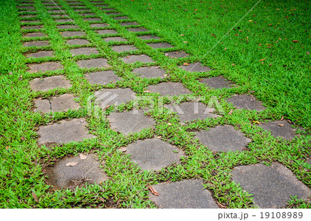 Grass green and walkway 19108989