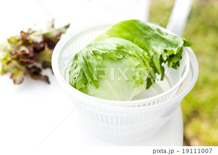 Lettuce salad in spinner 19111007