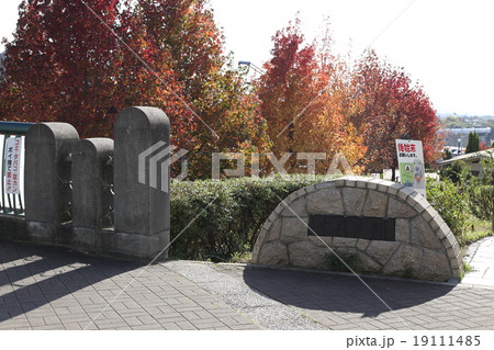 和泉中央の中央公園入口 19111485