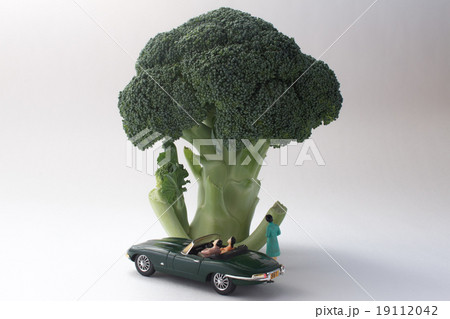 ブロッコリー ジオラマ ブロッコリー ジオラマ 19112042