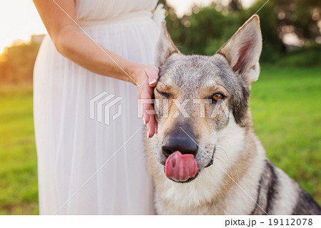 Woman with dog Woman with dog 19112078
