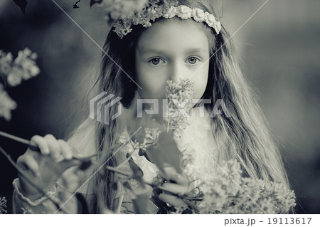 girl collects flowers childhood 19113617