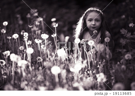girl blowing a dandelion seeds flying girl blowing a dandelion seeds flying 19113685