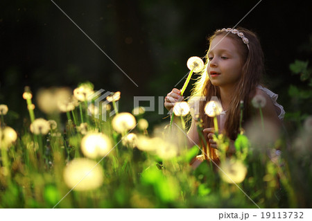 girl collects flowers childhood 19113732