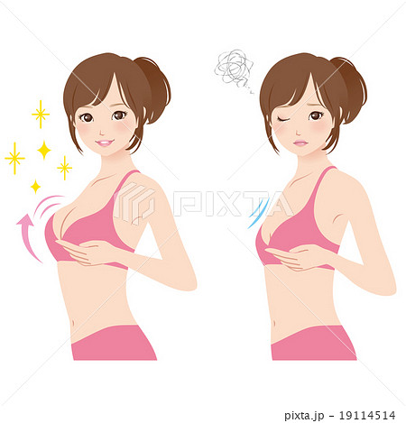 Bust cup size (front) - Stock Illustration [10637303] - PIXTA