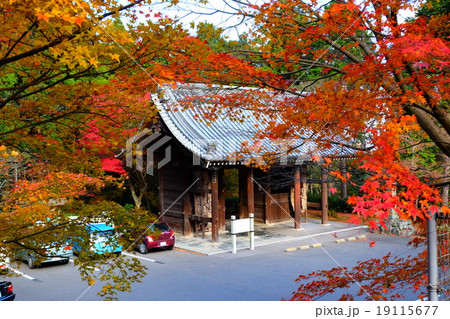 四国霊場第八十二番札所　根香寺　仁王門 19115677