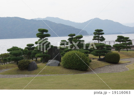 海辺の庭　 19116063