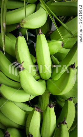 A heap of green bananas 19116932