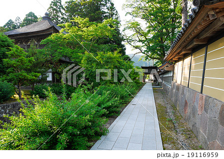 能登 能登 19116959