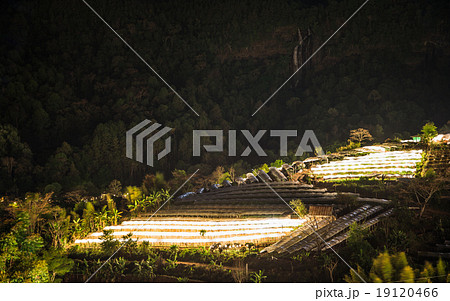 Nightscape of Greenhouse Plant and waterfall, Doi Inthanon, Chia 19120466