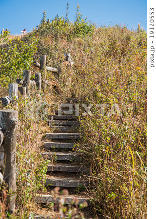 Walkway in Alpine savanna grassland of Doi Inthanon, Chiang Mai, Walkway in Alpine savanna grassland of Doi Inthanon, Chiang Mai, 19120553