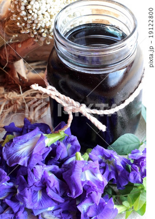 Anchan flowering water and fresh anchan flowers purple. 19122800