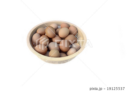 eggs on white background. eggs on white background. 19125537