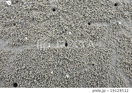 Texture of beach sand 19128512