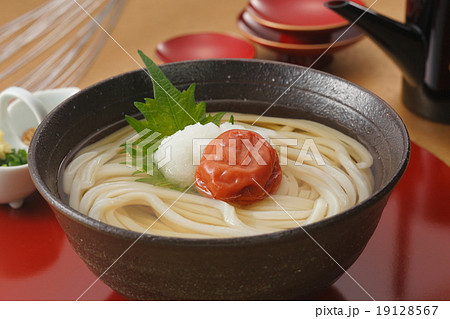 年明けうどん 年明けうどん 19128567