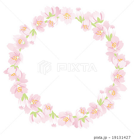 桜の花 花輪 白バックのイラスト素材