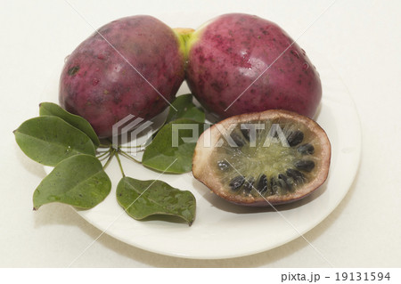 ムべ (アケビ) 皿盛り ムべ (アケビ) 皿盛り 19131594