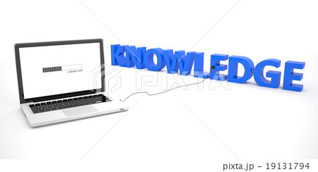 Knowledge 19131794