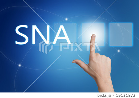 Systems Network Architecture 19131872