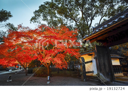 旧細川刑部邸のライトアップ紅葉 19132724