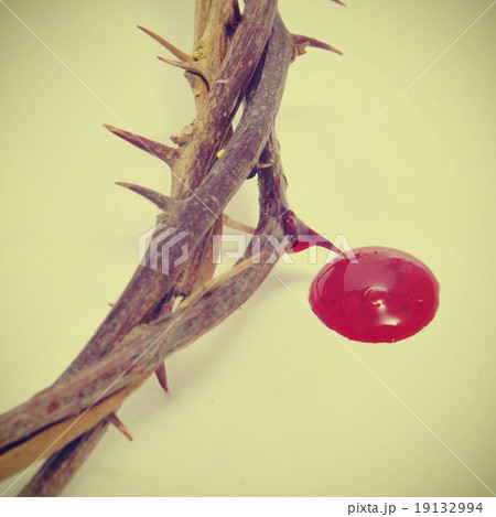 crown of thorns and blood 19132994