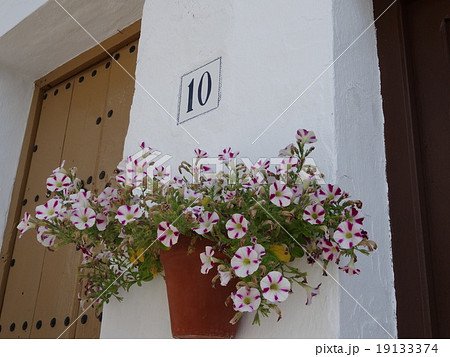花の玄関 花の玄関 19133374