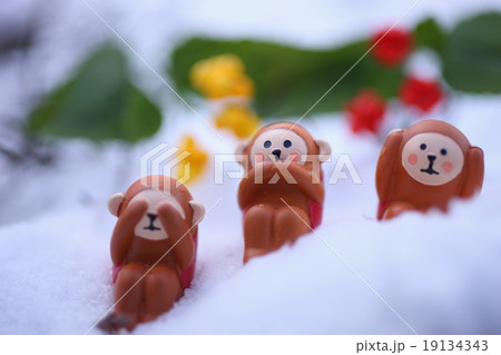 サル 猿 申 2016年 年賀 年賀状 19134343