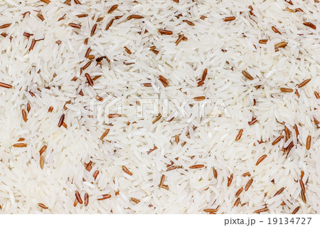 close up of Rice. close up of Rice. 19134727