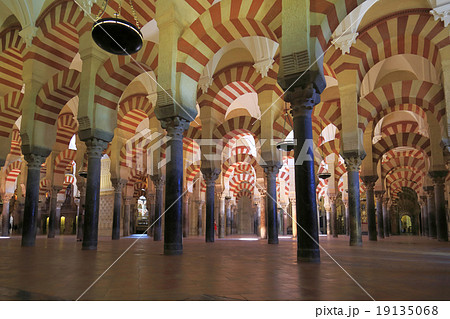 円柱の森 19135068