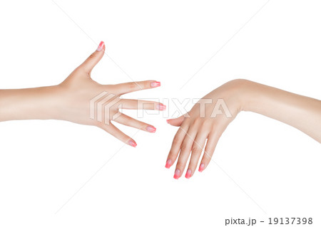 The right and left female hand. The right and left female hand. 19137398